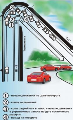 pic17.jpg